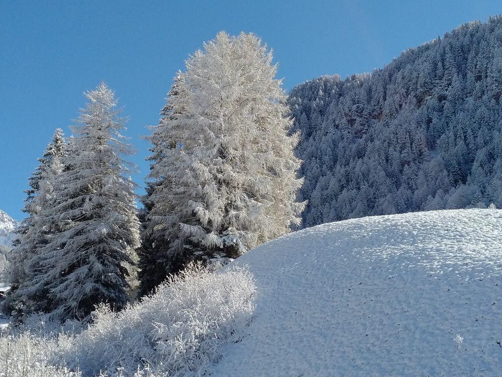 Garni Waltoy Hotel Sëlva di Val Gardena Eksteriør billede